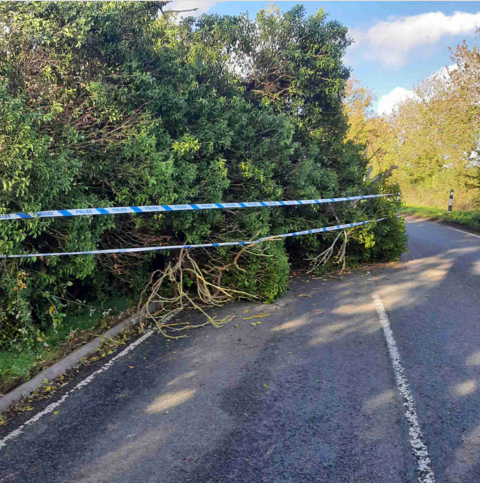 B6047 Closed After Large Tree Falls Into Road – HFM